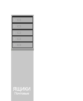 shapka41